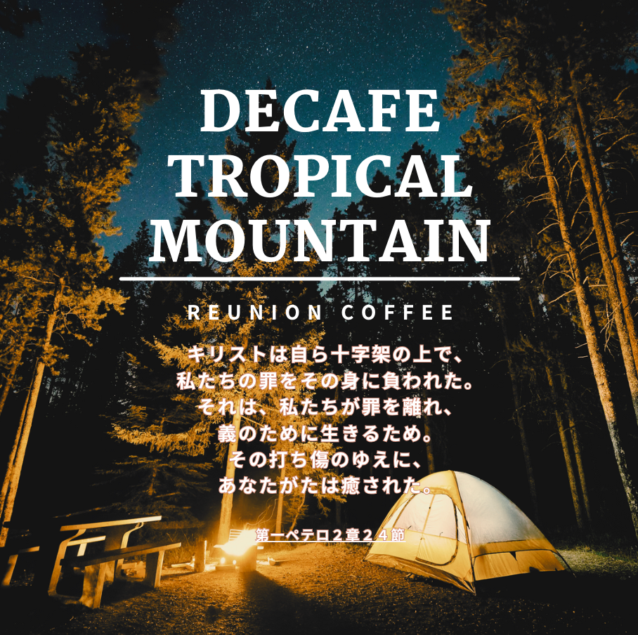 デカフェブレンド【TROPICAL MOUNTAIN BLEND】 100g×2袋