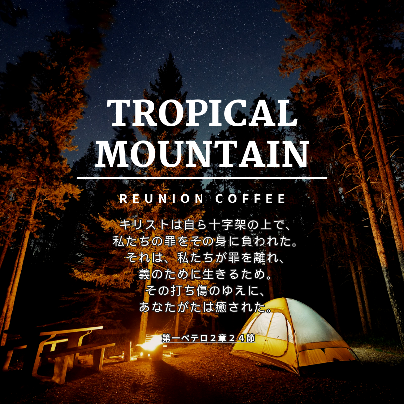 リユニオンコーヒー【TROPICAL MOUNTAIN BLEND】 100g×2袋